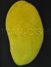 Samarbehisht Chausa